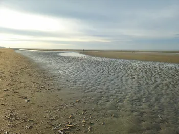 Oostnieuwkerke duinen wandeling in de koude (België)